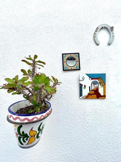 Gatu Premium Villa Patio Andaluz 圣玛丽亚港 外观 照片