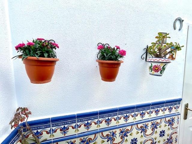 Gatu Premium Villa Patio Andaluz 圣玛丽亚港 外观 照片