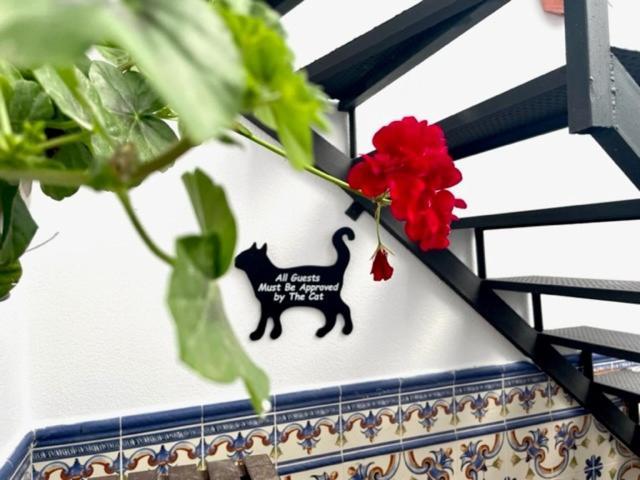 Gatu Premium Villa Patio Andaluz 圣玛丽亚港 外观 照片
